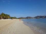 Walking Orient Bay....