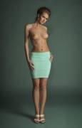 Pencil Skirt No Shirt