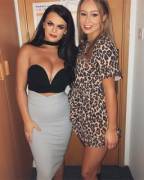 Slags Looking To Get It Up The Back