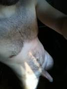 Do Bros Like Otters?