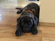 (Xpost) Just Saying Hi Since I Had A Couple People Ask About Me :)