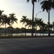 That Bolt On Ate Her Jean Shorts