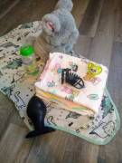 Anybody Else In Love With The Diaper/Buttplug/Chastity Combo??