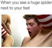 When You See A Huge Spider Next To Your Feet