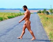 Why Did Pavel Petel Cross The Road?