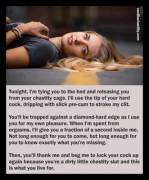 A Schedule Of Tonight's Activities