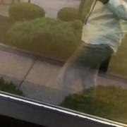 Recording My Hard Freeball Cock Outline In A Public Office