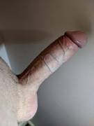 What Woudl You Do With This?