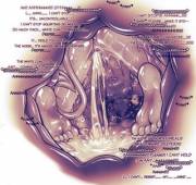 Ever Wonder What Happens If You Feed A Succubus To Something? [?/F][Lewd][Willing][Internal][Excess ...