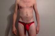 Red Bikini Briefs (Bonus Fallout ;) )