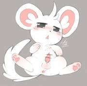 Minccino [M] (Choreuny)