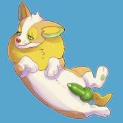 Yamper Is Ready For Battle![M](Pokemania)