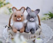 Two Cuties Ready For Action