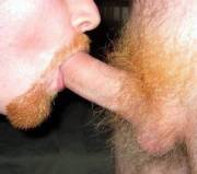 Ginger On Ginger Action