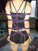 Arms Stabilized [F23]