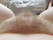 Forest For The Trees - Part 2