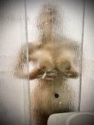 A Little Sunday Morning Shower (F)Un !