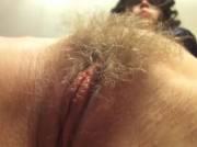 Hairy Pelfie