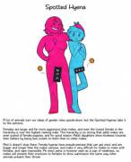 Hyena Females Have 7-Inch Clit-Cocks And Totally Dominate Their Males