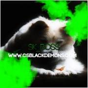 Was Told This Might Be Appreciated Here, What Do You Think?