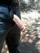 Alone In The Woods...join Me?