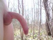 Hanging Free In Nature