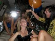 Crawling Around The Limo