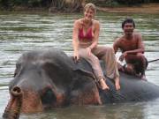 Elephant Loves It Too