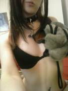 All Up And Down Them Paws