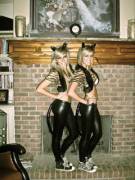 Sexy Kitties Ready To Play