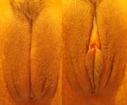 My Vulva... [F, 20S] (Very Hd)