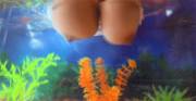 Underwater Titties