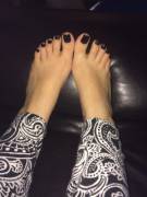 Haven't Posted In A While, But I'm Back :)