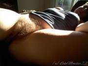 My Floof Is So Golden In The Sun