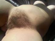 I Like The Way My Fluffy Muff Looks In The Sun