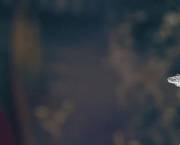 Gif Of The Day 07-04-15