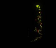 Two E(M)Itting Dudes