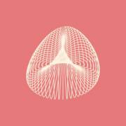 ...In Our Meat Triangle, All Tangled...wow!