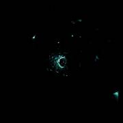 [F]Irst Time Posting, Do You Like My Shimmering Holes?