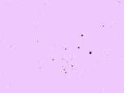 [M]Y First Time, Be Gentile