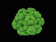 Just Having Some [F]Un With My Consecutive Vertices. [Oc]