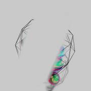 Just Looking, No Touching