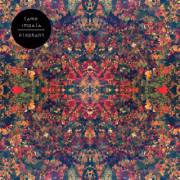 Tame Impala Bares All.