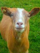 I See What You Did There.