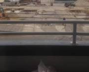 Putting On A Show For The Construction Workers!!