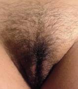 My Bush Is Growing Back! :)