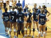 A Herd Of Hungry Butts! (X-Post From /R/Volleyballgirls)