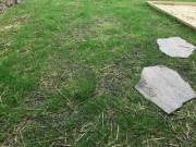 Just A Small Party Of Fun (1Mf/2F/3M)