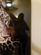 Sometimes I Catch Myself In The Reflection. 