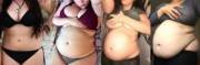 Ffafeed/Softiebabie Progression